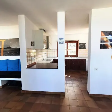 Bauhaus Meets Cactus