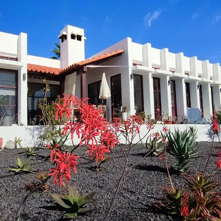 Bauhaus Meets Cactus *